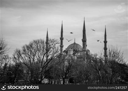 Blue mosque Istanbul, Sultanahmet park. The biggest mosque in Istanbul