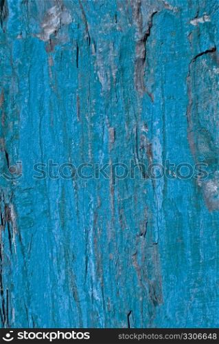 Blue painted shale stone background texture of shale stone.