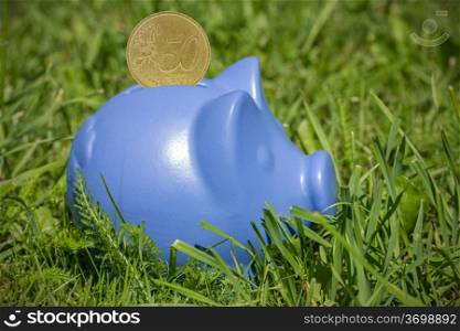 Blue piggy bank with coin on the green grass