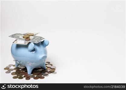 blue piggy bank with money coins
