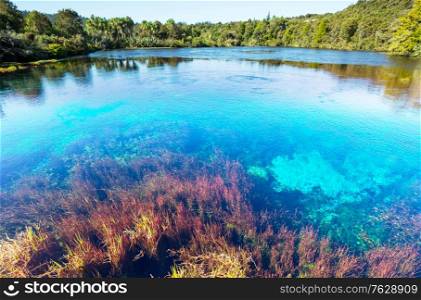 Blue Pool in New Zealand. Clear blue river near Hokitika. Beautiful natural landscapes.