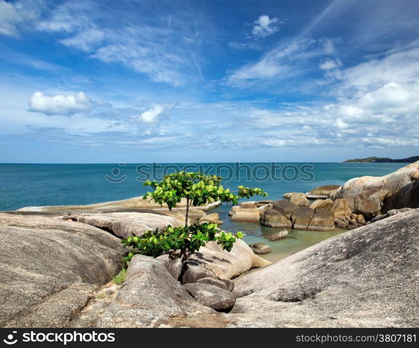 Blue sea and blue sky