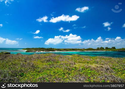 Blue sea under clouds sky