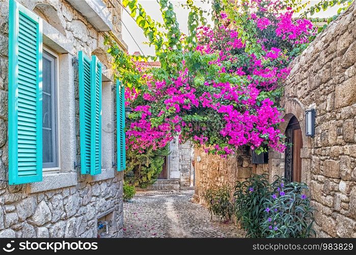 Blue shutters on a house and purple bougainvillea in a narrow street in Alacati,Izmir, Turkey
