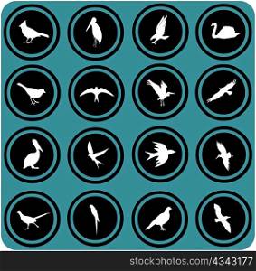 blue signs. silhouettes of birds. birrds icons