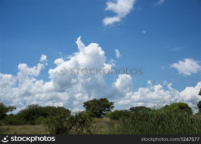 blue sky and clouds on african nature reserve