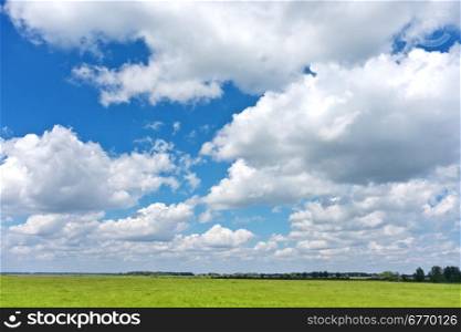 blue sky and green field