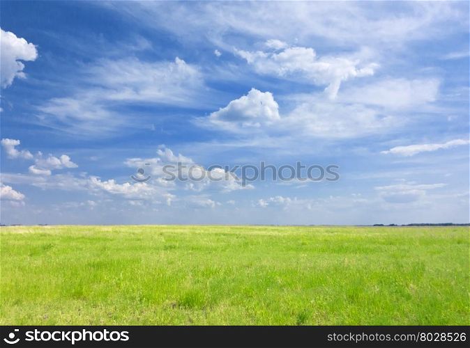 blue sky and green grass