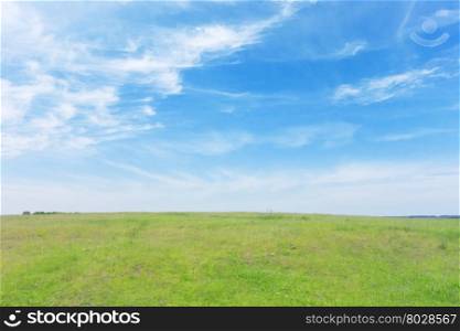 blue sky and green grass