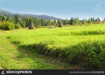 Blue sky and green grass near the road in Carpathian mountains