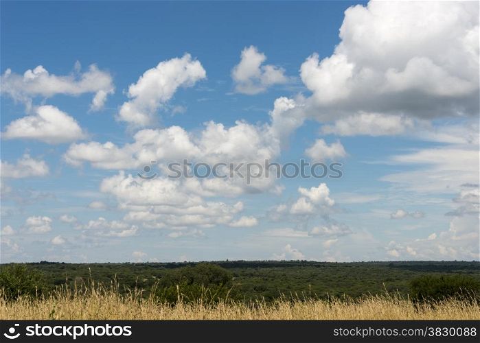 blue sky and white clouds over the kruger national park south africa
