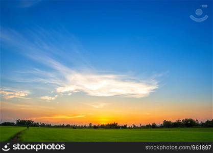 blue sky background texture with white clouds sunset,beautiful green cornfield.