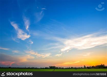 blue sky background texture with white clouds sunset,beautiful green cornfield.