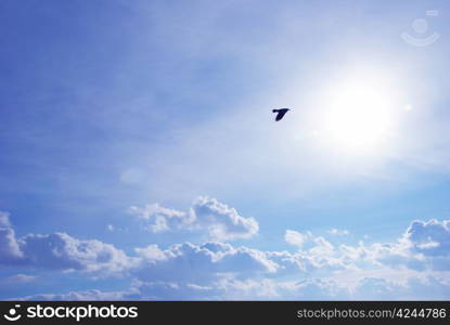 Blue sky background with tiny clouds