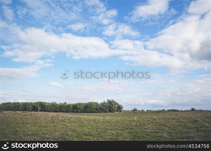 Blue sky over a prairie landscape in the summertime