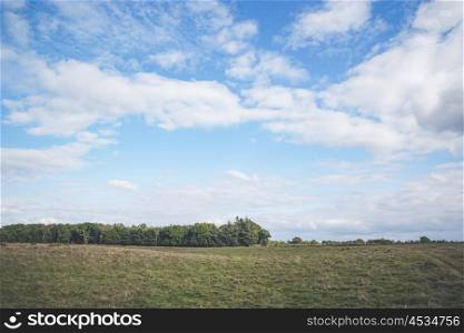 Blue sky over a prairie landscape in the summertime
