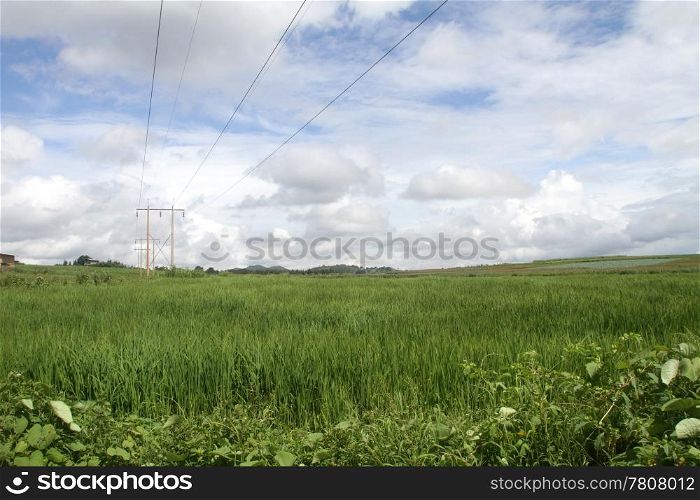Blue sky with clouds and electrical line on the field