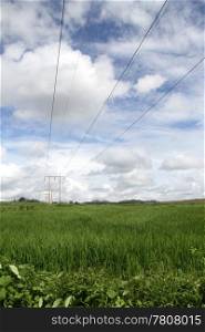 Blue sky with clouds and electrical line on the field