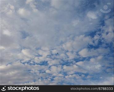 Blue sky with clouds background. Bird flying over blue sky with clouds
