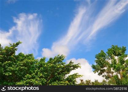 Blue sky with clouds, cloudscape background abstract