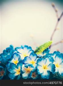 Blue spring flowers, close up, outdoor nature background