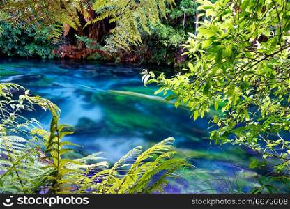 Blue Spring, Waikato, New Zealand. Crystal clear river in South Waikato, New Zealand
