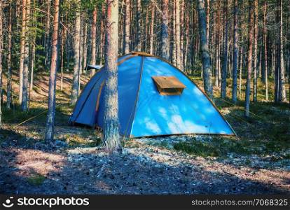 Blue tent in the Karelian sunny pine forest at summer evening. Selective focus.. Blue Tent In A Summer Forest