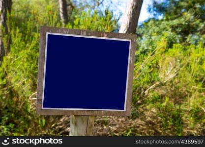 Blue track sign in Mediterranean pine forest as blank copyspace