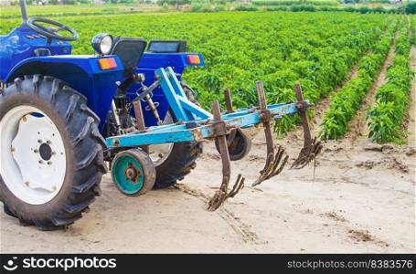 Blue tractor with a cultivator plow in a paprika pepper plantation. Farming, agriculture. Cultivation of an agricultural field. Plowing land. Agricultural equipment and technical transport.