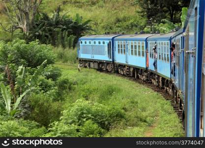 Blue train and green palm tree in Sri Lanka