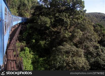 Blue train on the bridge near forest, Sri Lanka