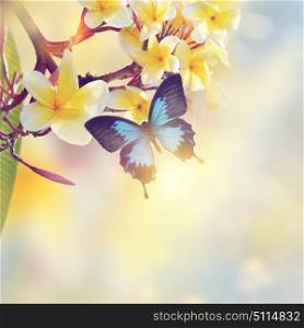 Blue Tropical Butterfly on yellow flowers with sunlight