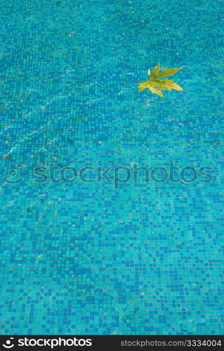 Blue water surface with yellow leaf.