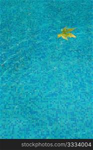 Blue water surface with yellow leaf.