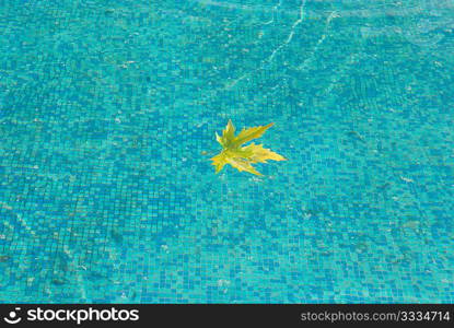 Blue water surface with yellow leaf.