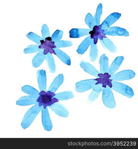 Blue watercolor flowers isolated over the white background