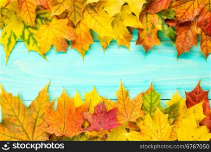Blue wooden background with border from colorful autumn leaves