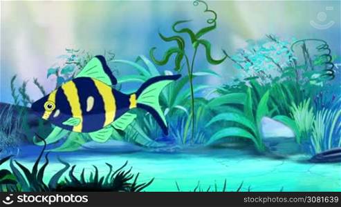 Blue-yellow Aquarium Fish floats in an aquarium. Handmade animation, looped motion graphic.