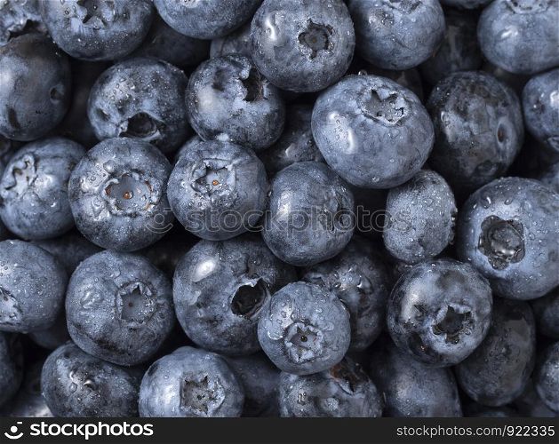Blueberries fruit background. Water drops on ripe sweet blueberry. Top view.
