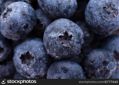 Blueberries. Fruits and vegetables: group of fresh wet blueberries, close-up shot