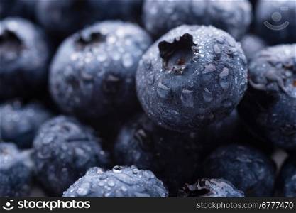 Blueberries. Fruits and vegetables: group of fresh wet blueberries, close-up shot