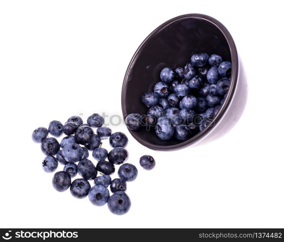 Blueberries in black bowl. Studio Photo. Blueberries in black bowl