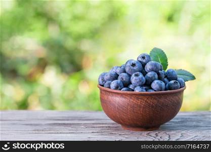 Blueberries in clay bowl on a wooden table. Green natural background. Summer still life. Natural product and harvest concept. Blueberries in clay bowl on a wooden table
