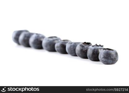Blueberries in row - close-up