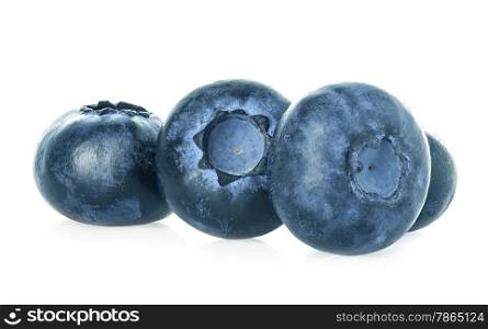 Blueberries isolated on a white background.
