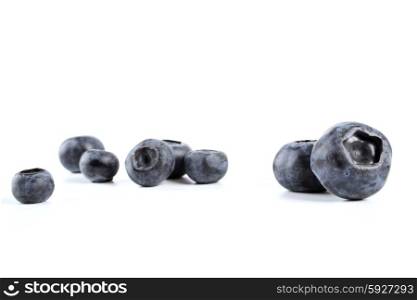 Blueberries on white background - close-up