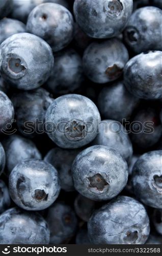 Blueberries photographed in a studio