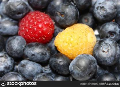 Blueberries with one red and one yellow berry, background