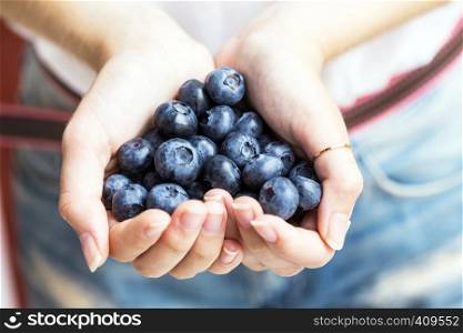 Blueberries, woman's hands holding bog whortleberry