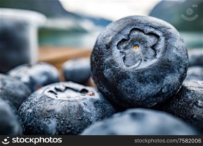Blueberry antioxidants on a wooden table on a background of Norwegian nature.